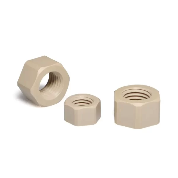 Professional PEEK Screw Custom Nut Plastic PEEK Nuts Manufacturing Tooling Customization